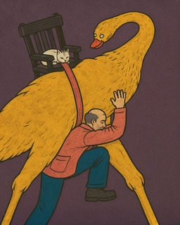 swan porter