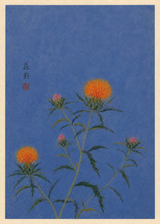 thistle blue