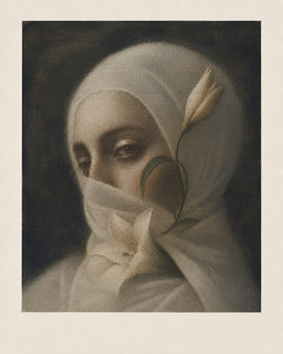 veiled lily