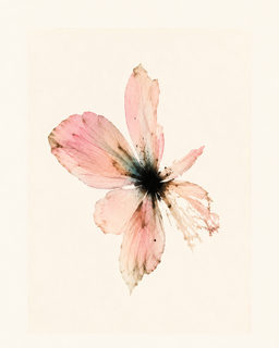 watercolor flower