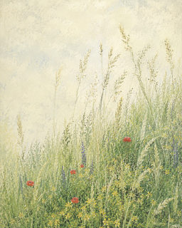 wildflower meadow